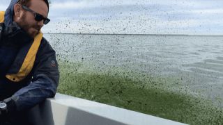 Dr. Adam Heathcote boating through a bloom of blue-green algae on Big Traverse Bay. (Courtesy Dr. Mark Edlund)